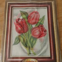 ART. TULIPANIMEZZO